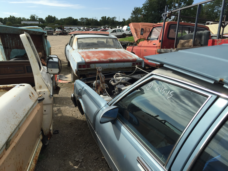 Illustration for article titled Went to the Junkyard yesterday